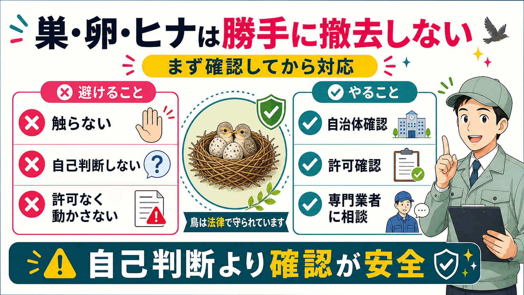 鳥の巣卵ヒナを自己判断で撤去せず確認する図解