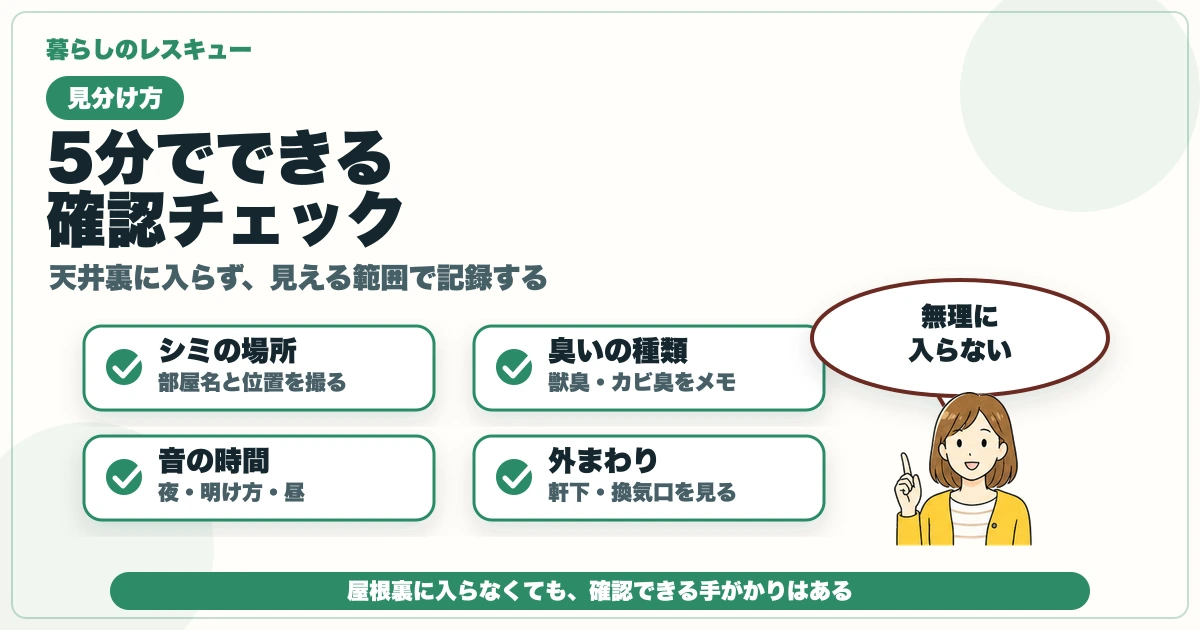 天井のシミと獣臭をシミの場所・臭い・音・外まわりで確認する図解