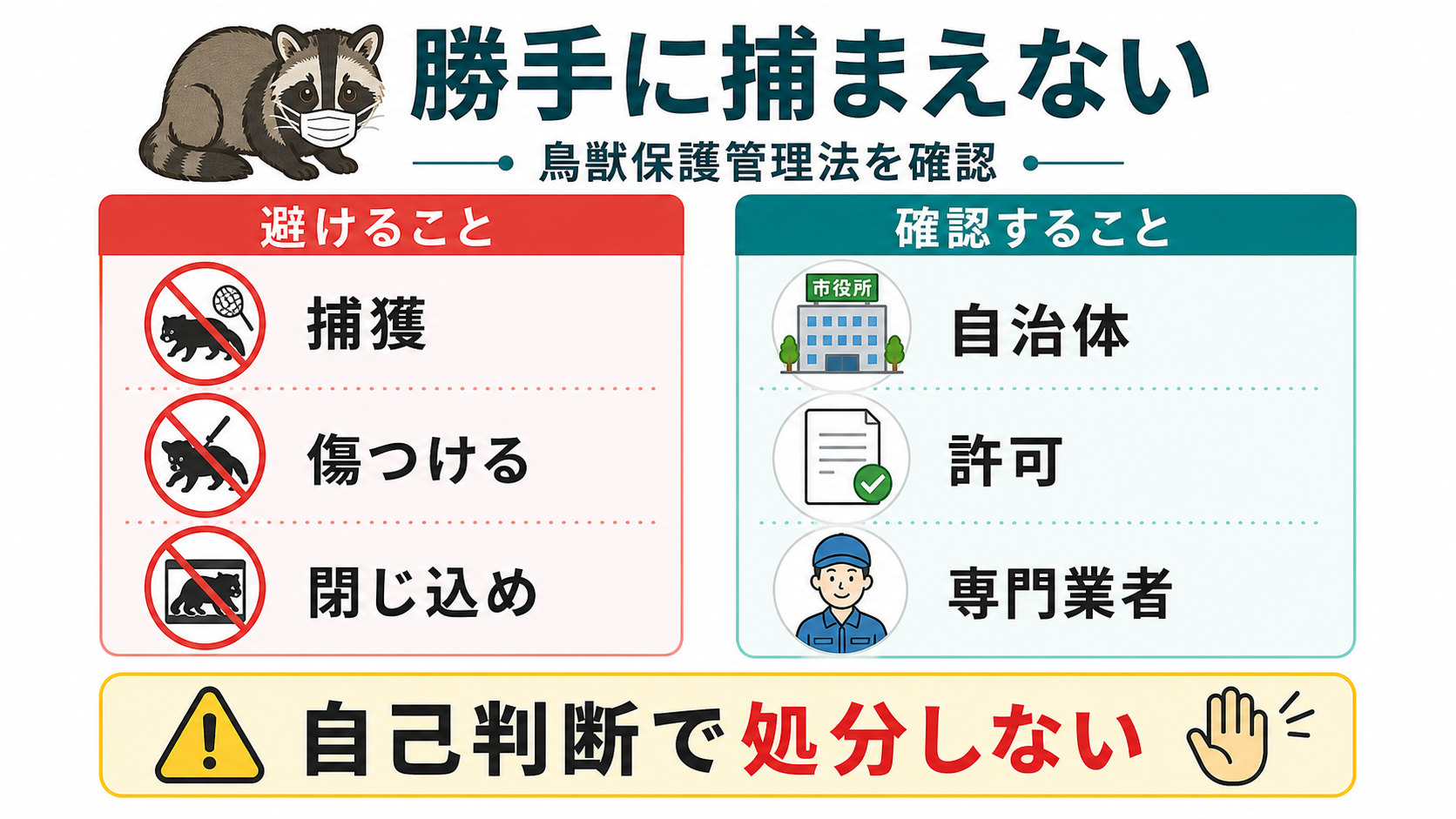 ハクビシンを勝手に捕まえず鳥獣保護管理法を確認する図解