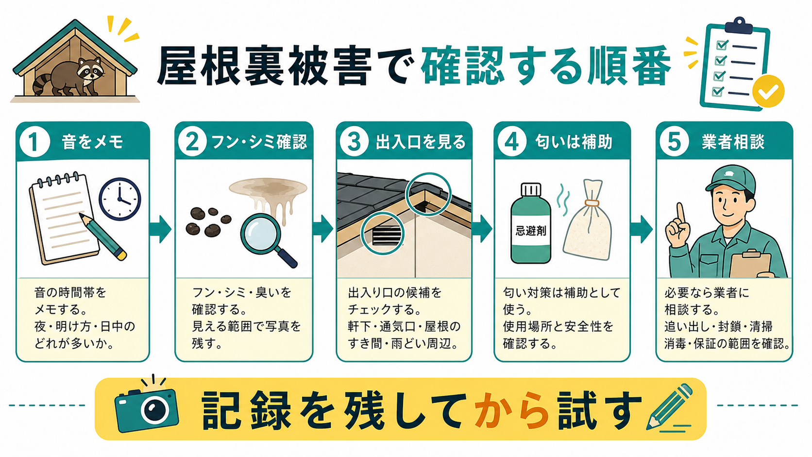 ハクビシンの屋根裏被害を音フン出入口匂い業者相談の順に確認する図解