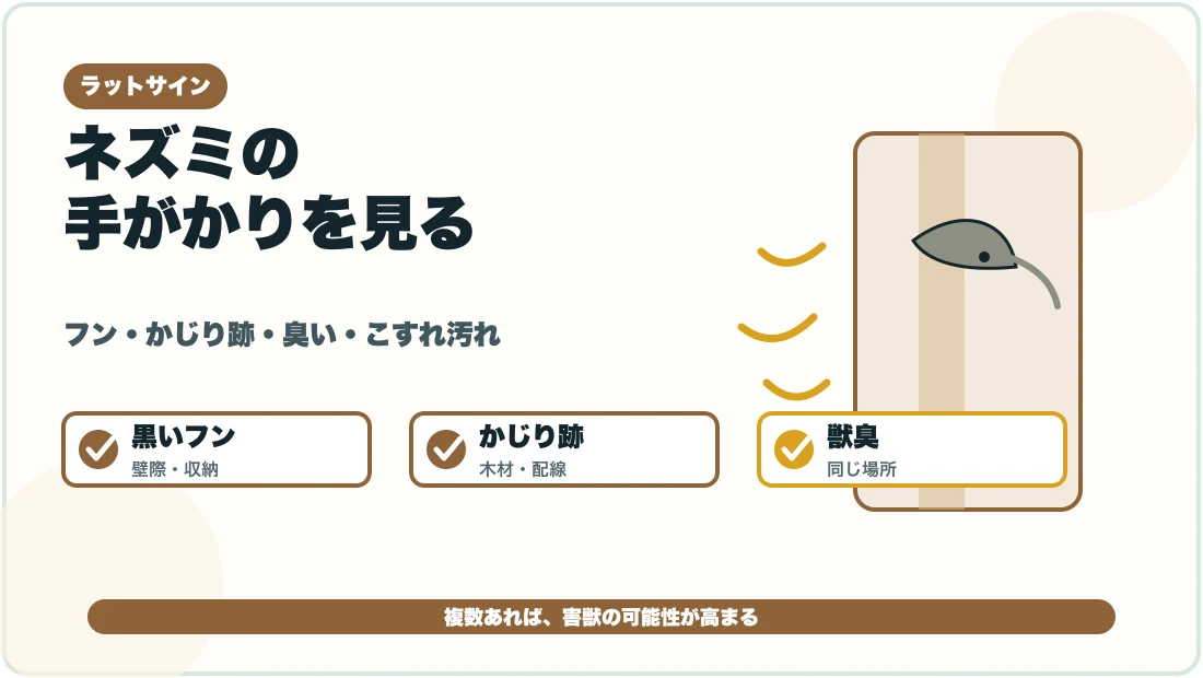 ネズミのラットサインとして黒いフンやかじり跡や臭いを見る図解