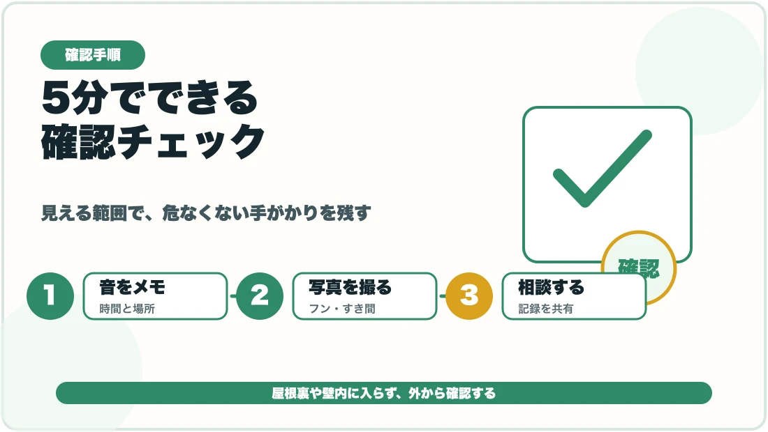 壁の中のカリカリ音を安全に確認する手順の図解