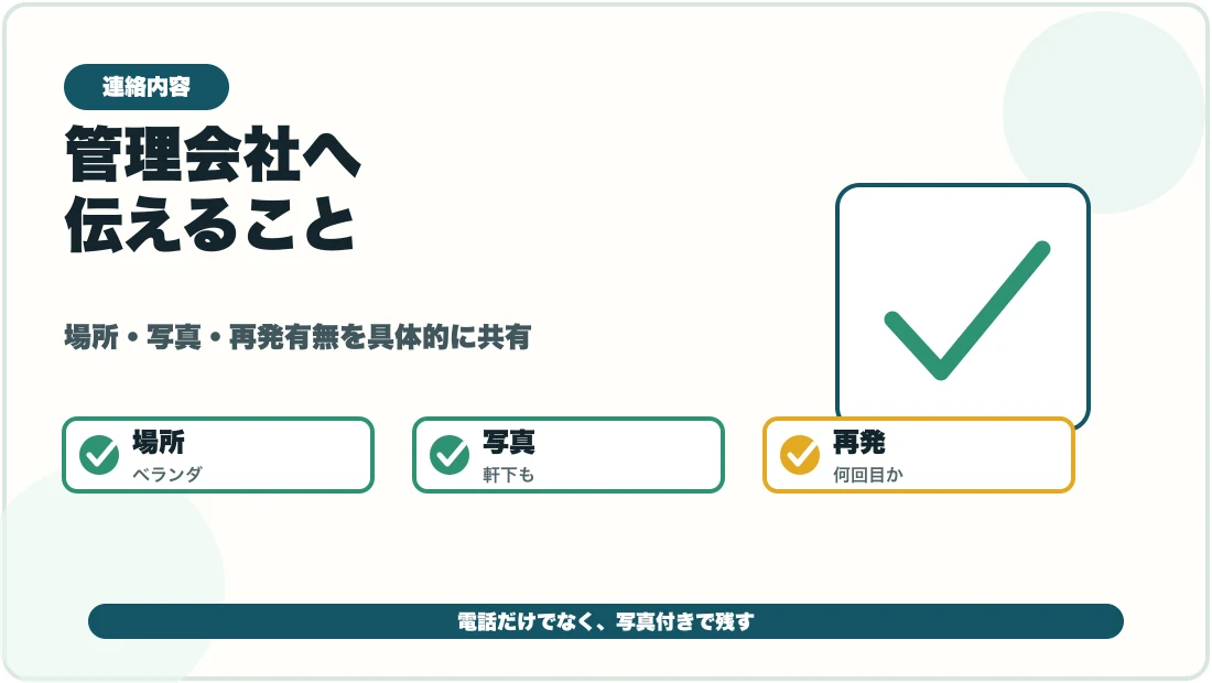 賃貸コウモリ被害を管理会社へ伝える内容の図解