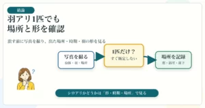 羽アリが家の中に1匹だけ出た時に写真・場所・時期を確認する図解