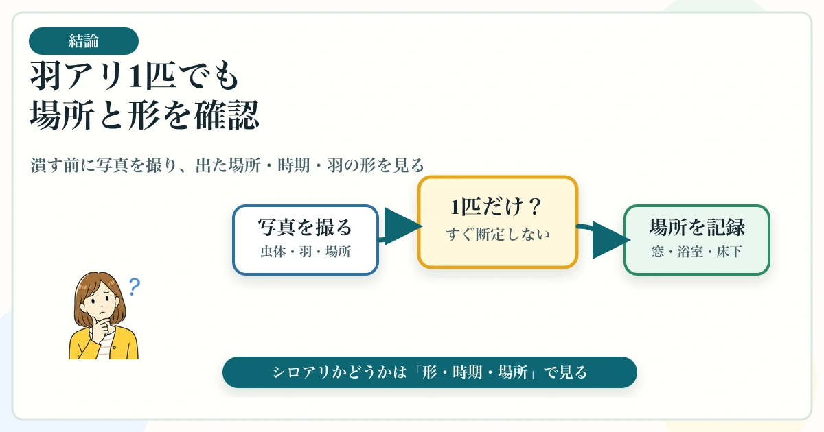羽アリが家の中に1匹だけ出た時に写真・場所・時期を確認する図解