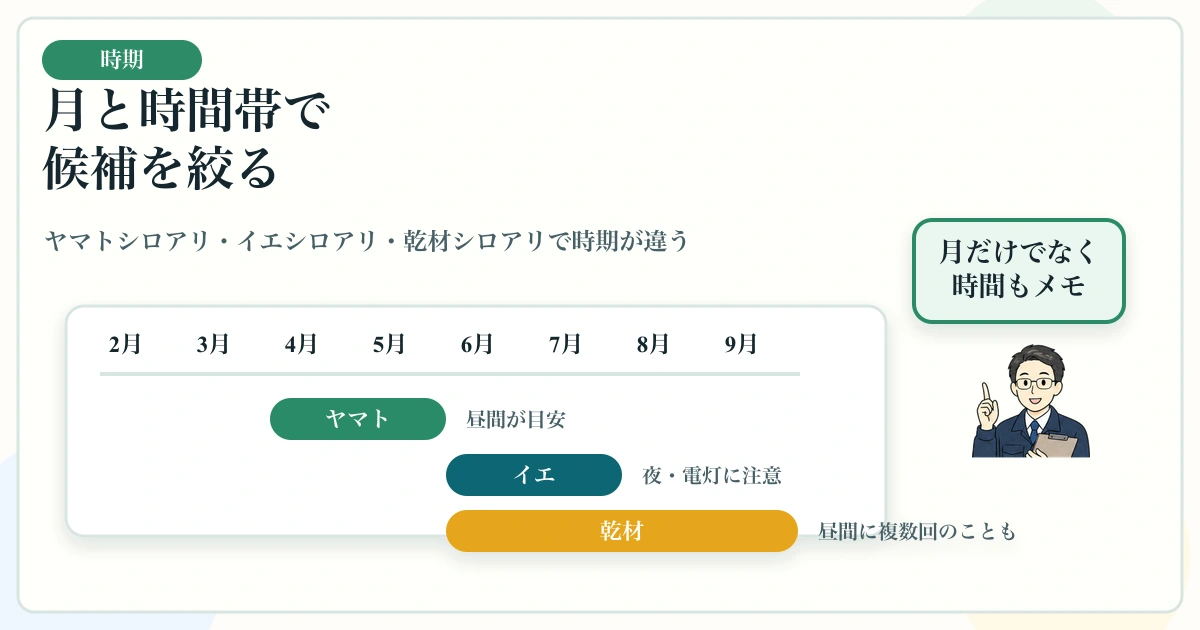 ヤマトシロアリ・イエシロアリ・アメリカカンザイシロアリの羽アリ時期を整理する図解