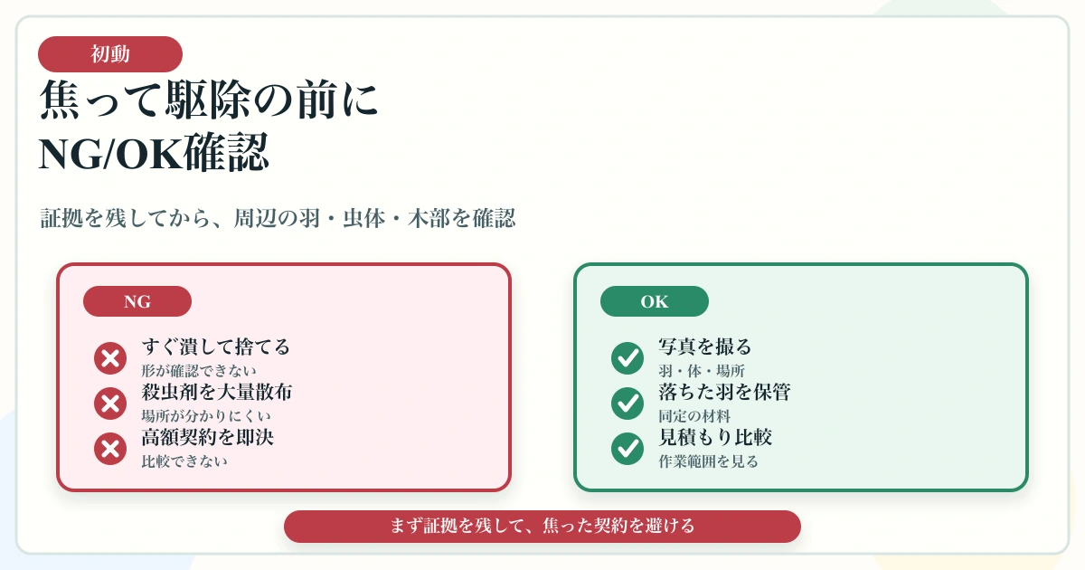 羽アリ発見時に殺虫剤をまく前に写真・場所・羽を記録する図解