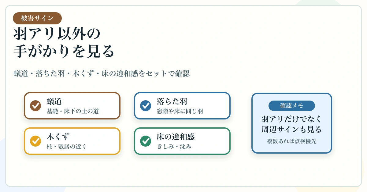 蟻道・落ちた羽・木くず・床の違和感を確認する図解