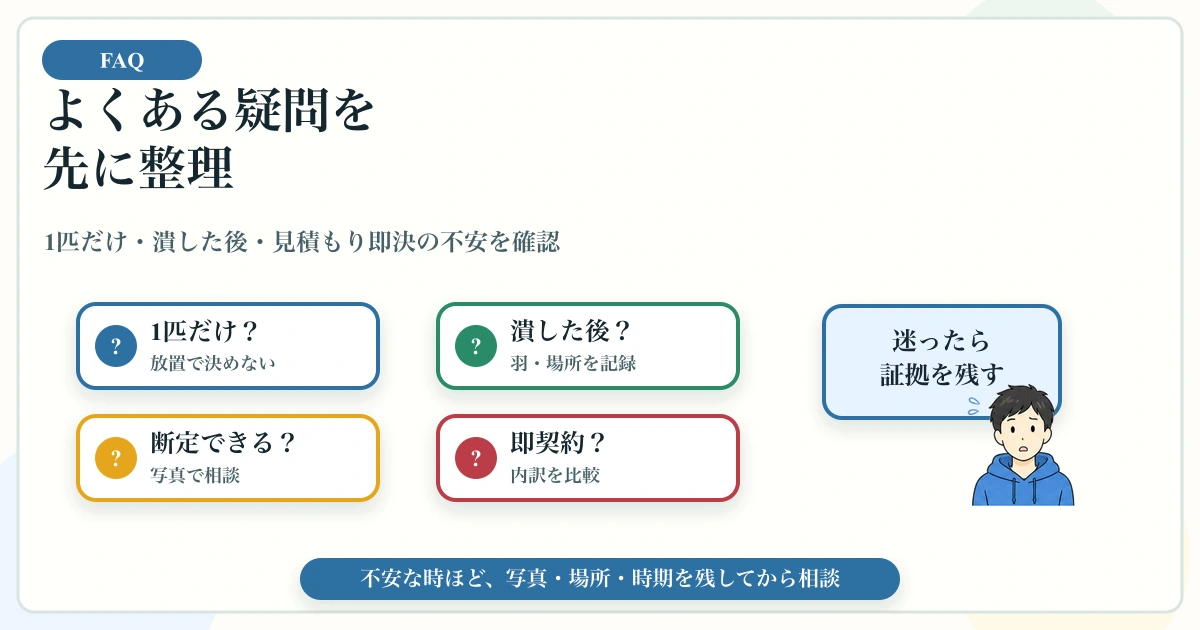 羽アリが1匹だけ出た時の放置・潰した後・見積もり相談の疑問を整理する図解